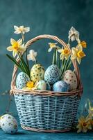 Colorful Easter eggs in a woven basket surrounded by cheerful daffodils on a blue background photo