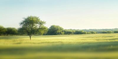 Tranquil landscape with a solitary tree in a grassy field under a clear sky photo