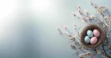Spring nest with pastel colored eggs resting on a branch with blossoms photo