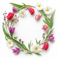 Beautiful floral wreath created with mixed spring flowers on a white background photo