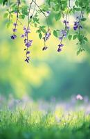 Blooming purple flowers under green foliage in a tranquil park setting during springtime photo