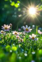 Sunlight shining through the trees onto blooming flowers in a vibrant garden at sunrise photo