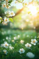 Sunlight filtering through blossoms in a lush green garden during springtime photo