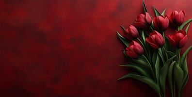 Vibrant red tulips arranged on a deep burgundy background for a striking floral display photo