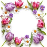 Beautiful floral arrangement with pink tulips and daisies creating a circular frame on a white background photo