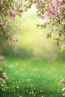 Blossoming spring garden with pink flowers and lush green grass in soft sunlight photo