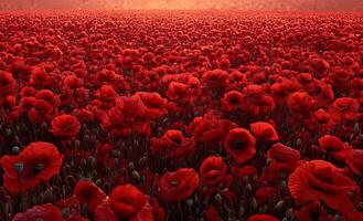 Vibrant field of red poppies at sunset showcasing nature's beauty and tranquility photo