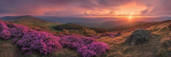 Beautiful sunset over vibrant purple flowers in a serene landscape with rolling hills photo