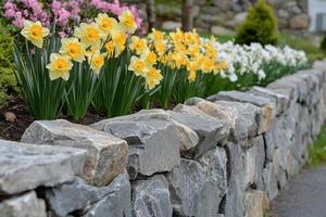 Brightly colored flowers bloom in a stone garden wall during springtime photo