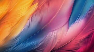 Colorful feathers create a vibrant pattern with warm and cool tones photo