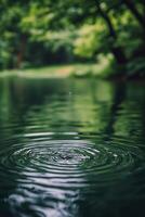 Ripples on a tranquil green pond with lush trees under gentle daylight photo
