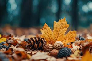 Autumn leaves and pine cones in the forest. Selective focus photo