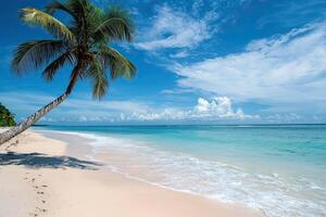 Beautiful tropical beach with coconut palm tree, blue sky and white sand photo