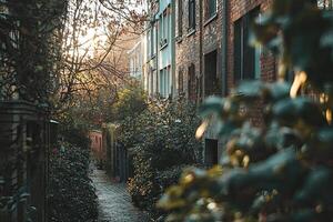 Cobblestone street in the old town of Amsterdam, Netherlands photo
