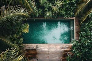 Swimming pool in tropical garden with palm trees and green leaves photo