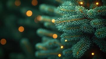Soft bokeh lights twinkle against evergreen branches, creating a warm atmosphere photo