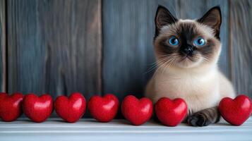 A playful cat sits calmly with vibrant hearts arranged in front, exuding charm photo