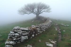 A lone tree stands beside an ancient stone wall in the mist photo
