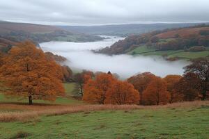 Autumnal Valley Mist Rolling Through Fields and Trees photo