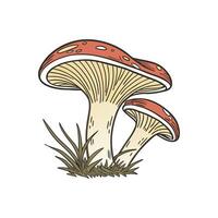 The Art of Mushrooms Botanical Rendering vector
