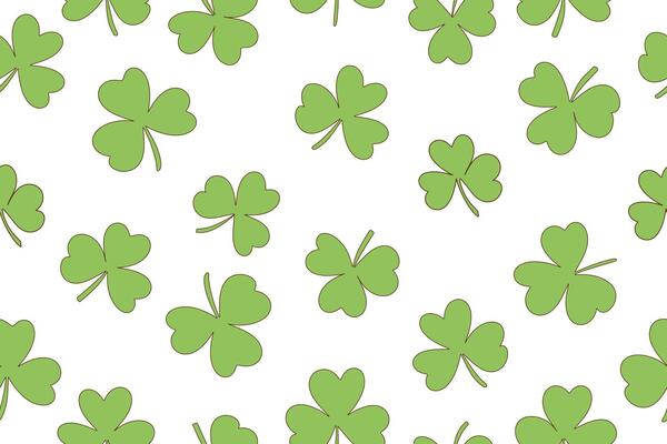 Seamless pattern of clover leaves for St. Patrick's Day. Green clover leaves in doodle style on white background. Design for wrapping paper, wallpaper, background, card and decoration.