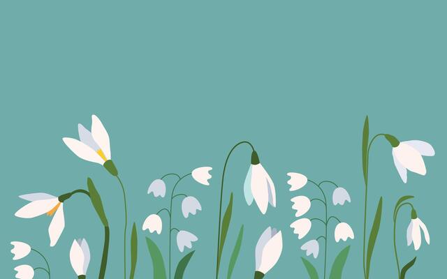 Welcome Spring floral background with place for text. Snowdrops spring flowers. Botanical modern style. Great for greeting cards, banners, flyers, birthday and mom's day greetings. .