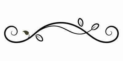 Simple swirl underline design for elegant decoration need vector