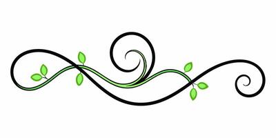 Minimal swirl underline design for artistic styling vector