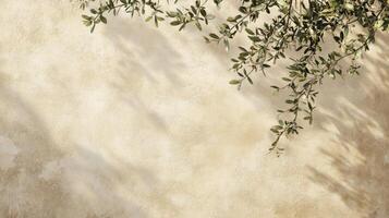 Olive branches casting shadows on beige textured wall background photo