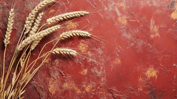 Golden wheat ears on rustic red background with textured surface photo