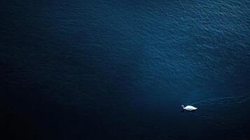 Solitary swan gliding gracefully across the deep blue water surface photo