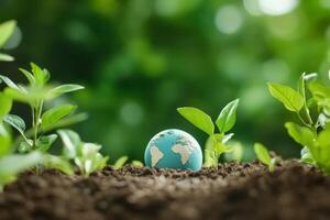 Earth Day Concept Miniature Globe Among Emerging Green Seedlings in Rich Soil photo