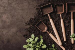 Garden Tools on Soil with Green Plants Rustic Agriculture and Farming Essentials photo