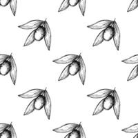 Seamless pattern with olive branches for decorative print, wrapping paper, greeting cards, wallpaper and fabric 4 vector