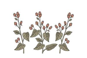 Botanical hand drawn branches with leaves and berries isolated on white background illustration. Graphic design for Print Brand Book Greeting Card Product Poster Flayer Invitation Event Fashion vector