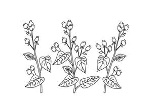 Line art hand drawn branches with leaves and berries isolated on white background. Black and white botanical outline plants illustration. Graphic design for Print Brand Book Greeting Card vector