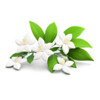 A delicate jasmine flower with soft, transparent background, highlighting its purity and elegance in a minimalistic, airy design. png