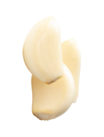 Three peeled white garlic cloves or pieces in heap isolated with clipping path in file format png