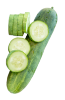 One fresh green cucumber with slices in circle shape in stack isolated with clipping path in file format Top view png