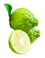A pile of two fresh green bergamot fruits or kaffir lime with half and green leaf isolated with clipping path in file format png