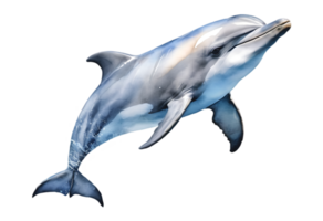 A dolphin jumping in the air on a transparent background png