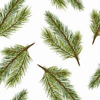 Pine tree branches on seamless watercolor pattern isolated on white. Botanical coniferous endless background. Christmas tree branches for wrapping paper, fabric, wallpapers, and seasonal package vector
