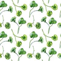 Centella asiatica in botanical style on watercolor seamless pattern. Geranium, pennywort herbal plants hand drawn. Gotu kola greenery endless background for package, label, wrapping, textile vector
