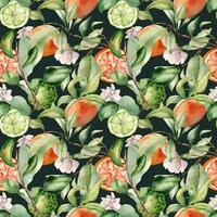 Foliage with assorted citrus fruits and white flowers watercolor seamless pattern isolated on dark. Hand drawn grapefruit in botanical sketch style. Jasmine and green bergamot for package, textile. vector