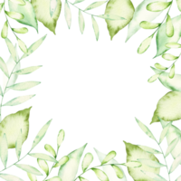 Watercolor frame with green branches and leaves. Square frame with space for text. Festive design for cards, invitations, festive. Green leaves, greenery, foliage and branches, hand drawn illustration png
