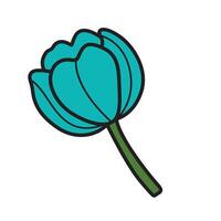Hand Drawing of Tulip Flower with Elegant Details vector