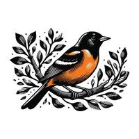 a black and orange bird sitting on a branch. vector