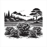 Green Lettuce Rows in a Farm Field vector
