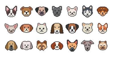 Different type of pixel art dog faces in retro style vector