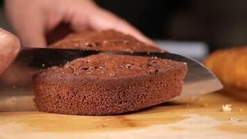 Slicing a Freshly Baked and Delicious Chocolate Cake Using a Sharp Knife video